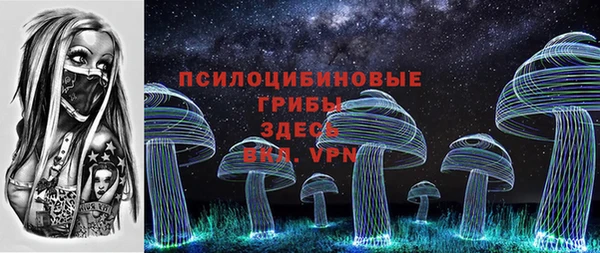 бутират Горняк