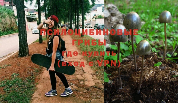 бутират Горняк