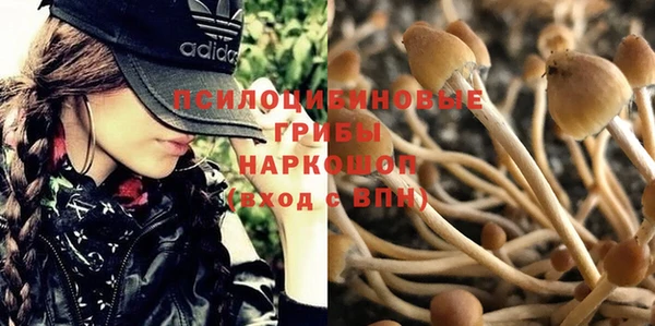 бутират Горняк