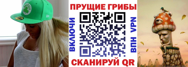 Псилоцибиновые грибы GOLDEN TEACHER  купить   Королёв 